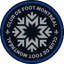 CF Montreal logo