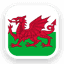 Wales logo