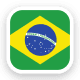 Brasil Copa América logo