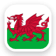 País de Gales Euro logo