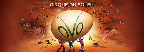 Cirque Du Soleil OVO