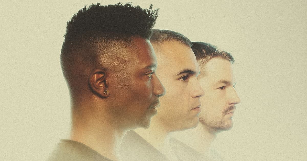 Animals as Leaders