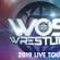 WOS Wrestling logo