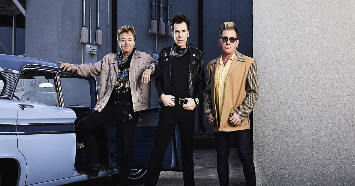 Stray Cats