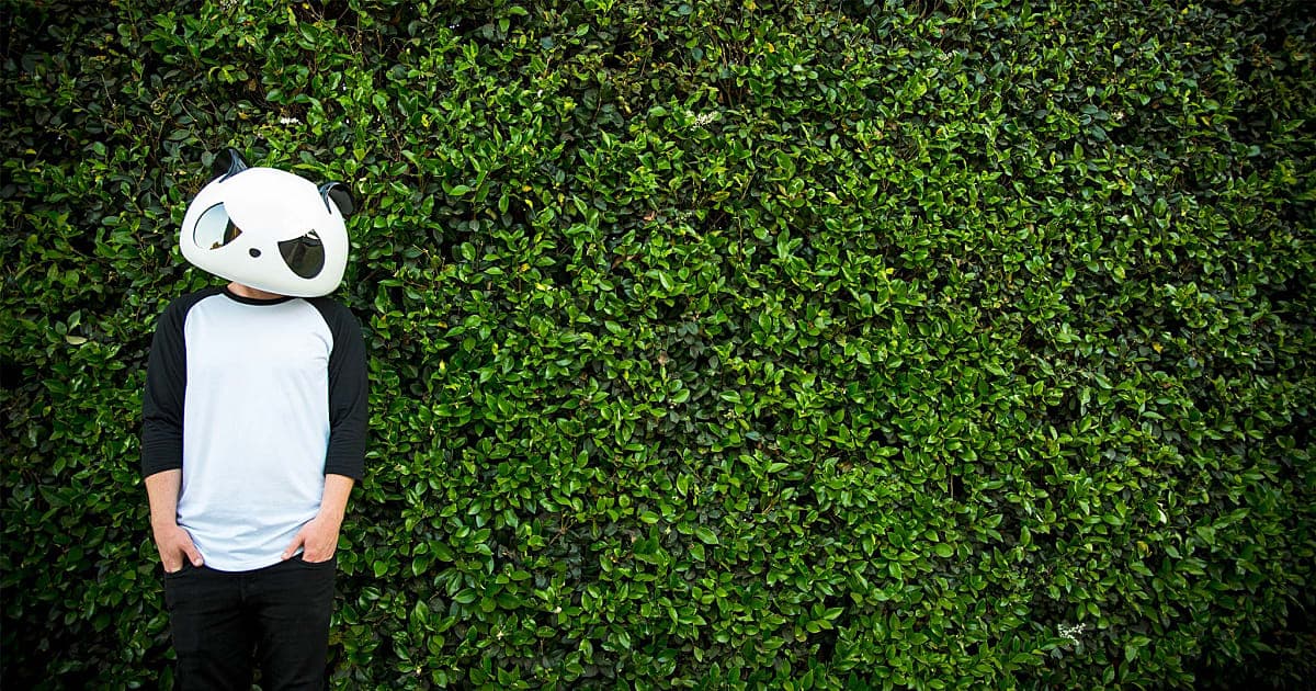 The White Panda