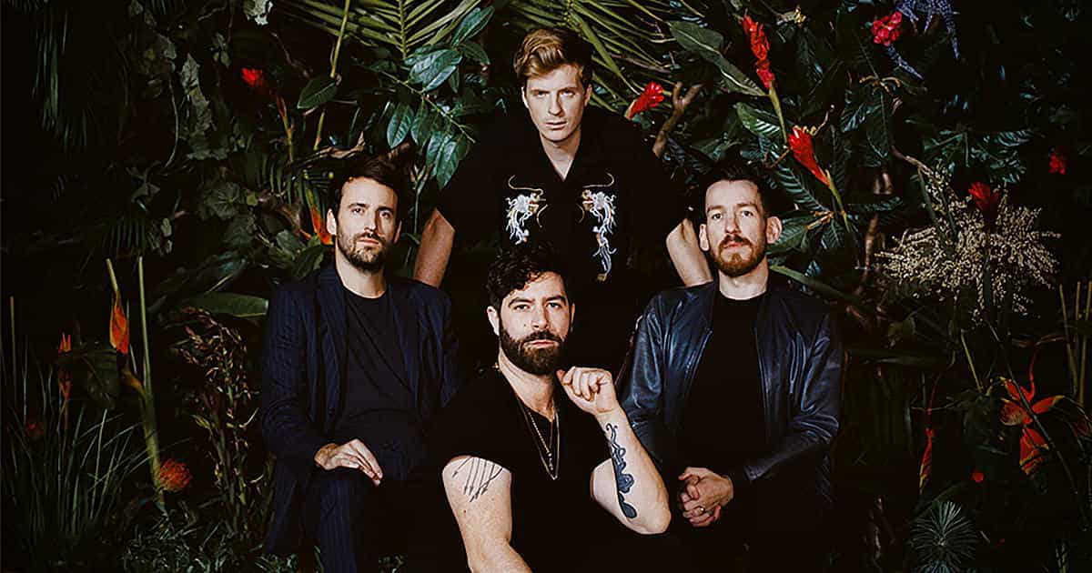Foals