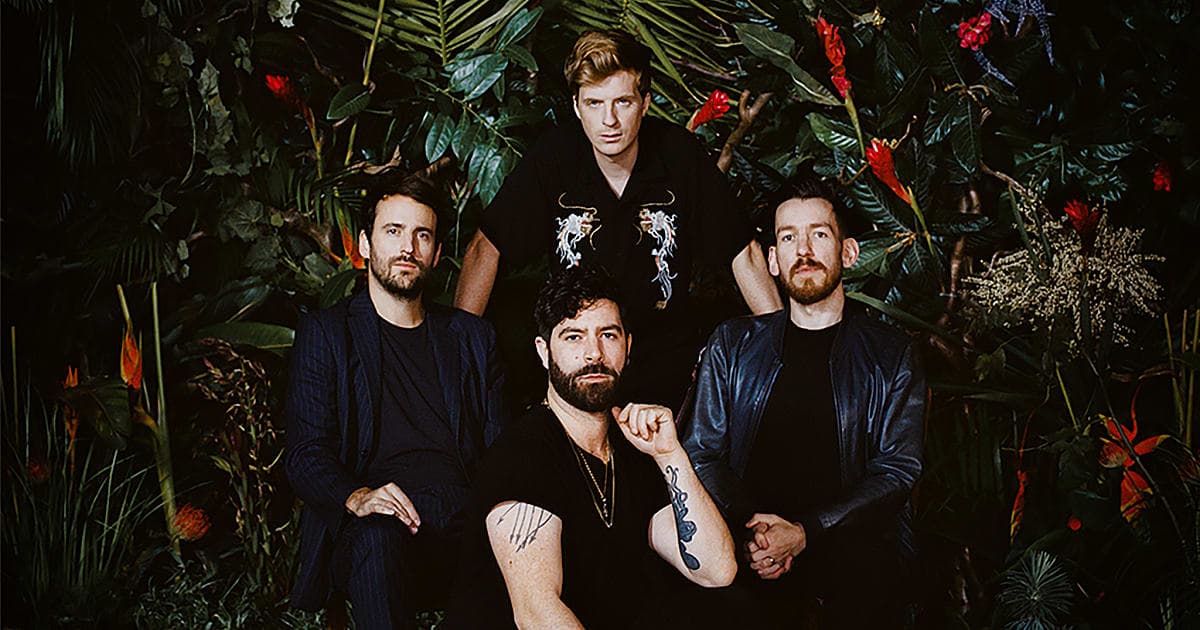 Foals