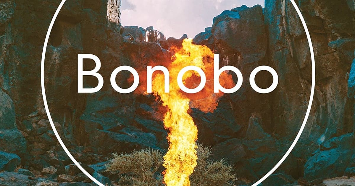 Bonobo