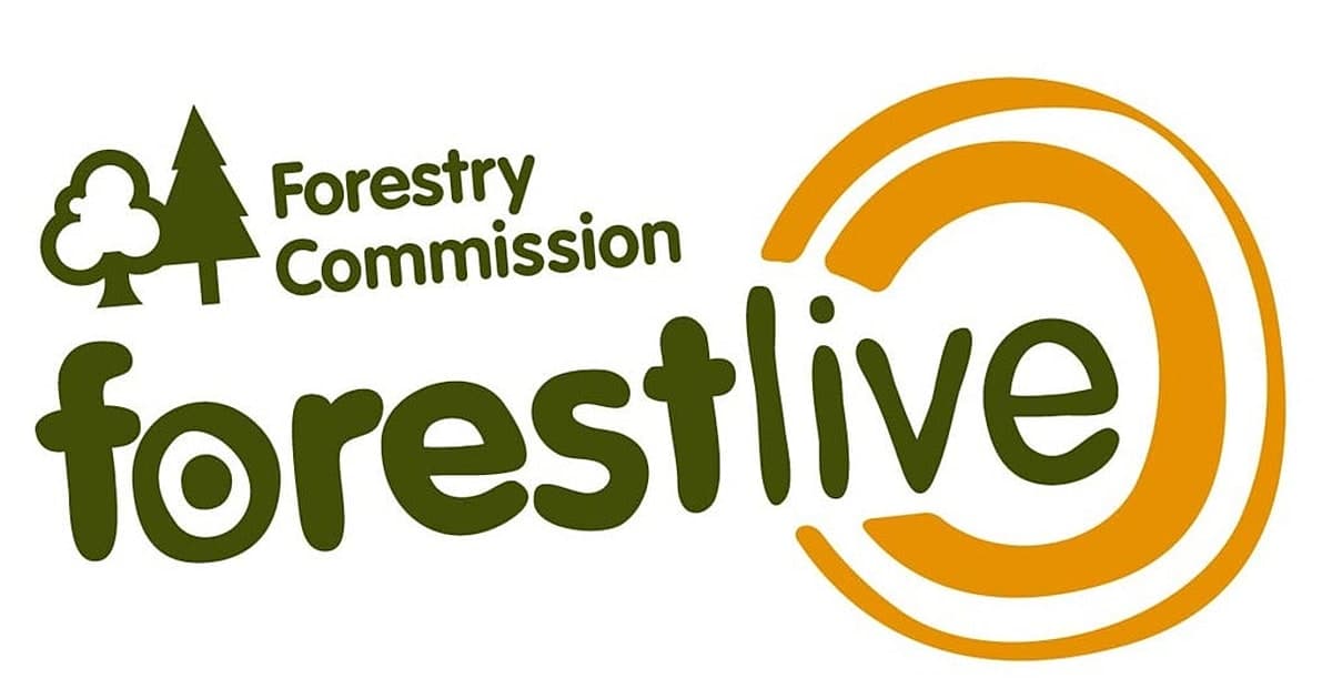 Forest Live