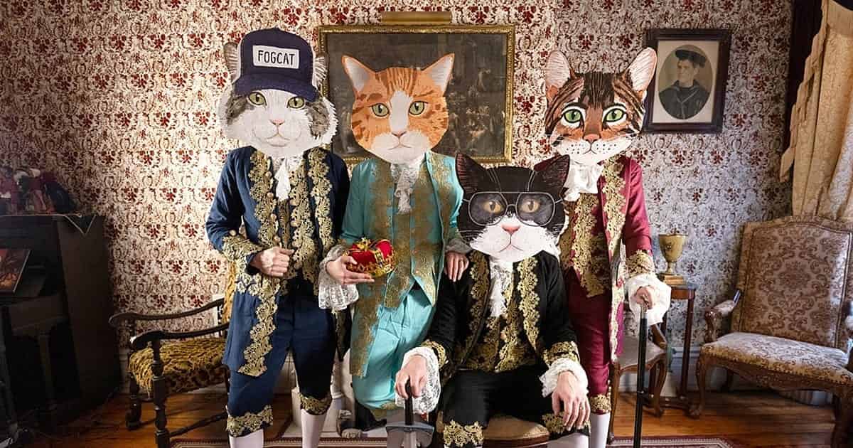 Fantastic Cat Fantastic Cat