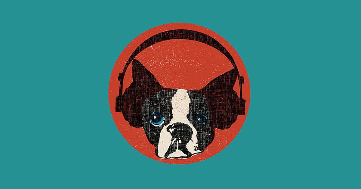 Snarky Puppy