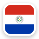 Paraguay Nationaal Elftal logo