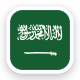 Saoedi-Arabië Nationaal Elftal logo