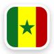 Senegal Nationaal Elftal logo