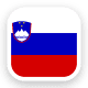 Slovenië Nationaal Elftal logo