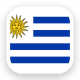 Uruguay Nationaal Elftal logo