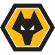Wolves FA Cup logo